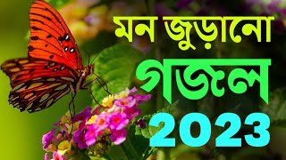 দিল ঠান্ডা করা একটি গজল || শুনে দেখুন || Bangla Gojol 2023 |  নতুন গজল সেরা গজল || নবীজীর শানে গজল