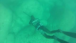 In The Water Beuchat Espandon Prestige 7 mm