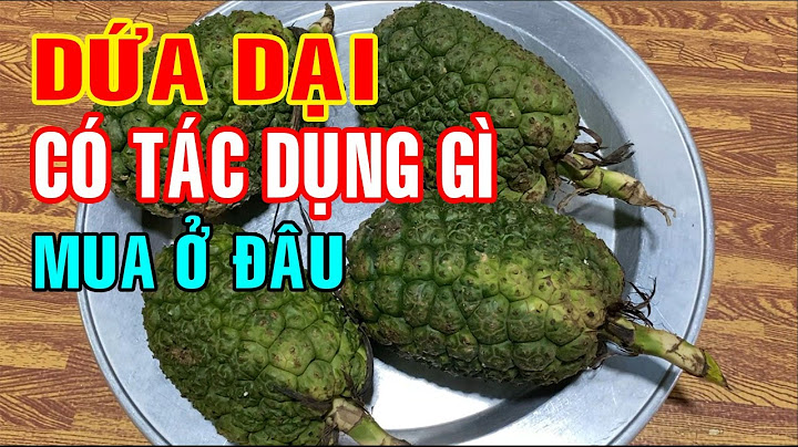 Cây dứa ông hay còn gọi là cây gì