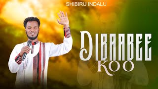 DIBAABEE KOO #SHIBBIRUU INDAALUU @oboromedia @EGEREEMEDIA @hopechannelethiopiaofficial