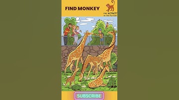 Can You Find the Hidden MONKEY?