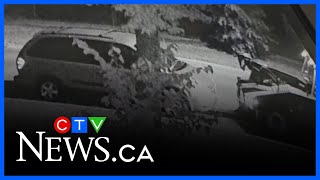 More details on Winnipeg thefts involving tow trucks