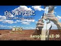 白い雲のように (Like a White Cloud) / 猿岩石 (Monkey Rock) 【Aerophone】