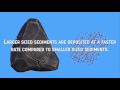 Deposition and Sediment Characteristics Quiz