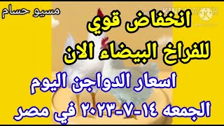 اسعار الفراخ البيضاء اليوم اسعار الدواجن اليوم الجمعه ١٤-٧-٢٠٢٣ في مصر