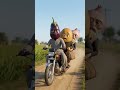 aalu pyaj tamatar aur gajar ki kahani