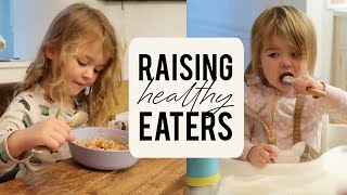 How to Raise HEALTHY + NOT PICKY Eaters | RD's Tips for Feeding Toddlers | Becca Bristow RD