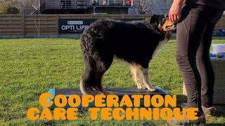 Samenwerkings techniek voor de verzorging van je hond. by Elke Boxoen - Dogz Devotion Academy  972 views 2 years ago 1 minute, 21 seconds