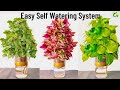 Discover the ultimate selfwatering system for plantsautomatic watering system garden4u