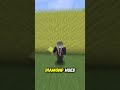 One Fun Fact About Every Item In Minecraft: Wet Sponges