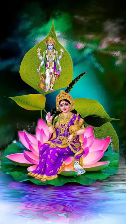 #basuri