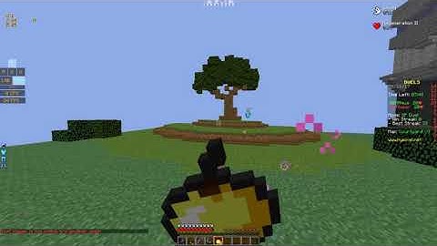 Getting banned for hacks?? (SkyBounds Appeal)