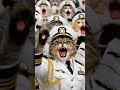Why Meow Force is Purrfectly Suited #shorts #viral #cats