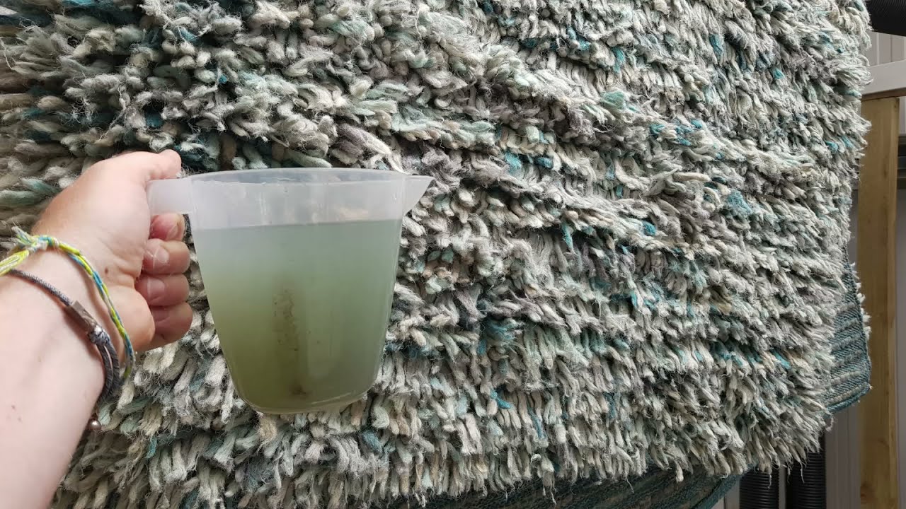 Cleaning A Shag Pile Wool Rug With Captain Rug Wash