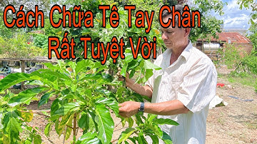 Ba Bài Thuốc Chữa Tê Tay Chân Do Tắc Nghẽn Cực Kỳ Hiệu Quả