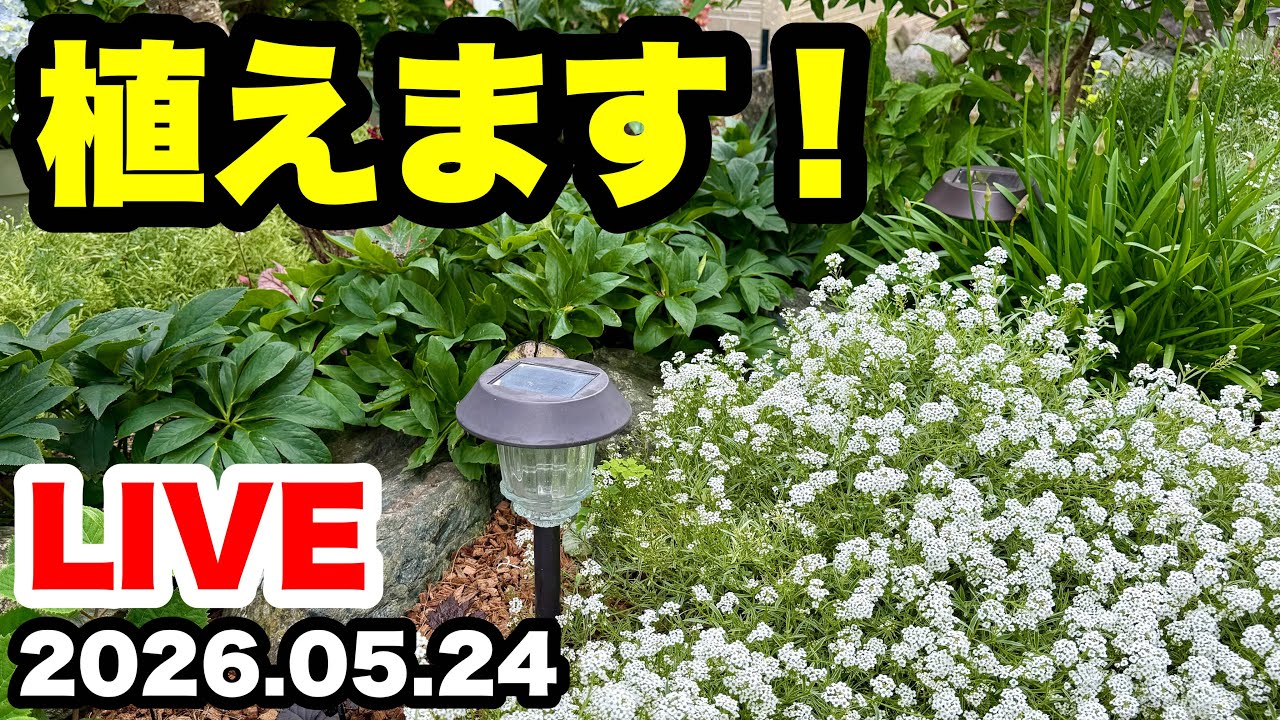 ◇春夏のお花植えます【生配信】 - YouTube