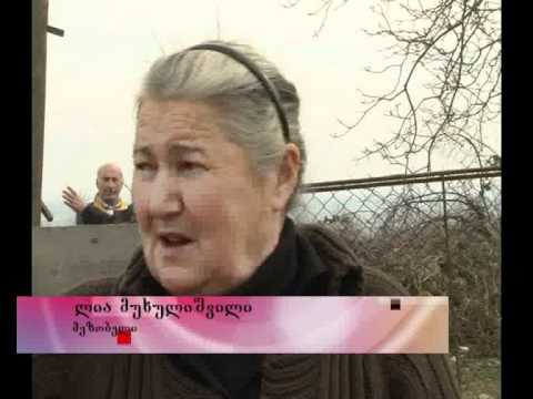 სოციალური დახმარების გარეშე