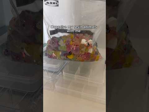 Resinanimals Resin Shorts New Idk Mini Organization Animals Miniducks Animalsvideo