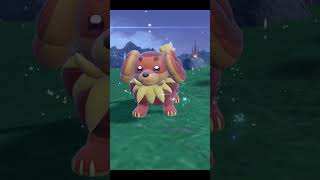Evolving FIDOUGH to DACHSBUN in Pokemon Scarlet & Violet