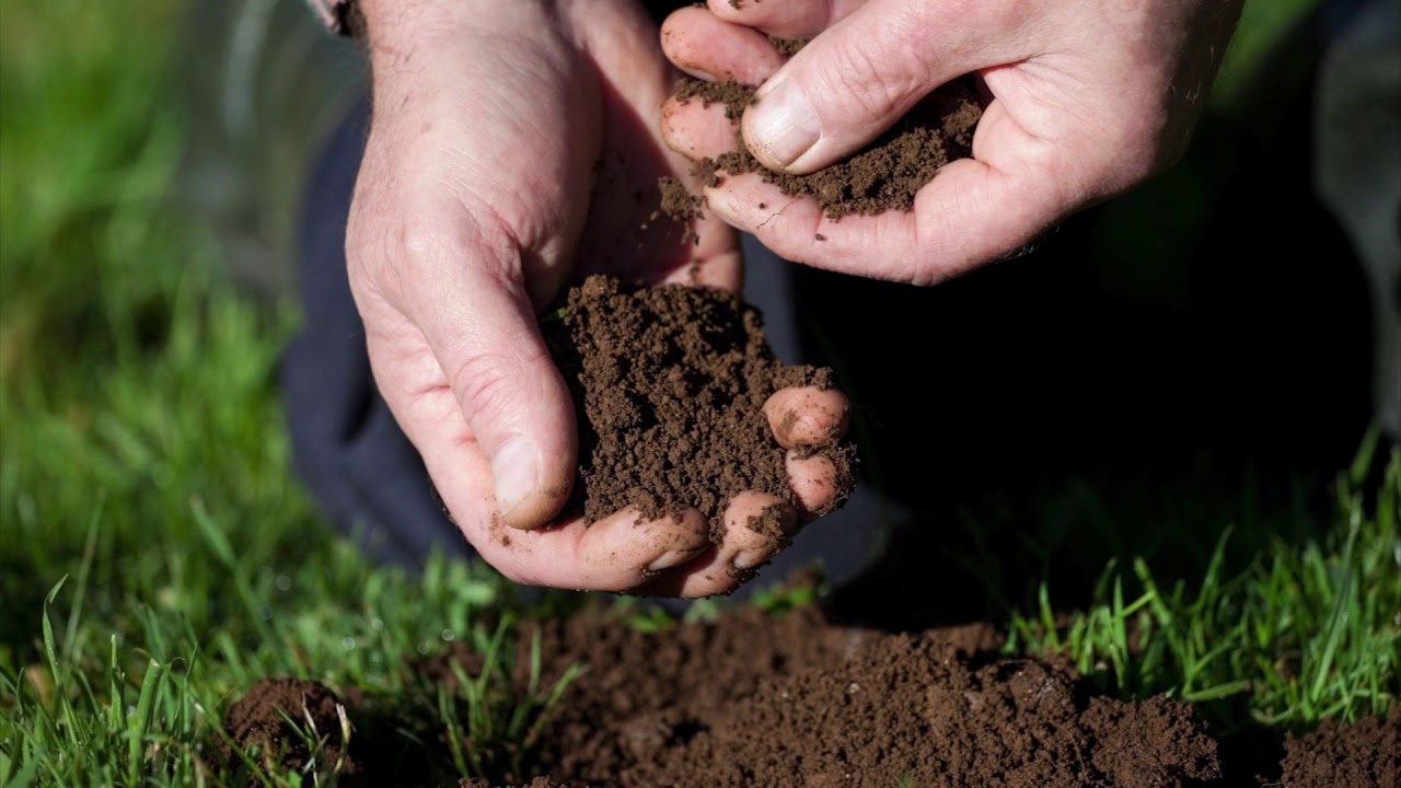 The science behind nutrient mobility (1/13/18)