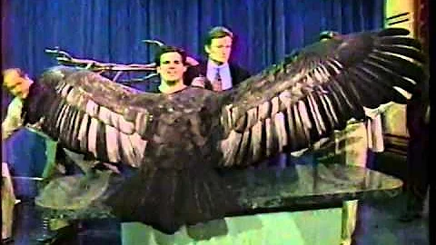 Conan O'Brien 'Jim Fowler & Amazing Wildlife (Anim...