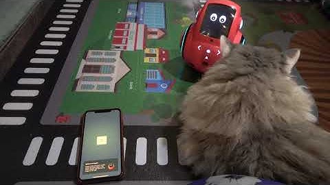 Miko 2 - Mikode Works! (Let The Good Times Roll 🎲)