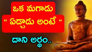 Budha Healing motivational quotes|| Lord budha ||budha Telugu #ownvoice Ep - 164