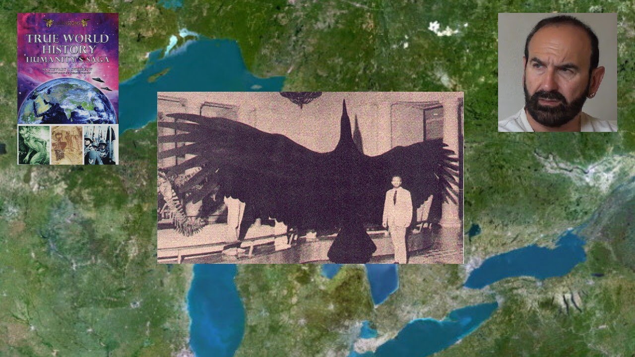 Los Animales Extraños en la Región de los Grandes Lagos - YouTube