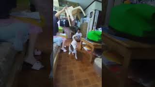  Miyu Play With Kuya 