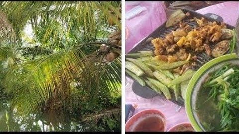 Đi Gò Công Rước Khách Về Khách Mời Vô Ăn Đám Giỗ