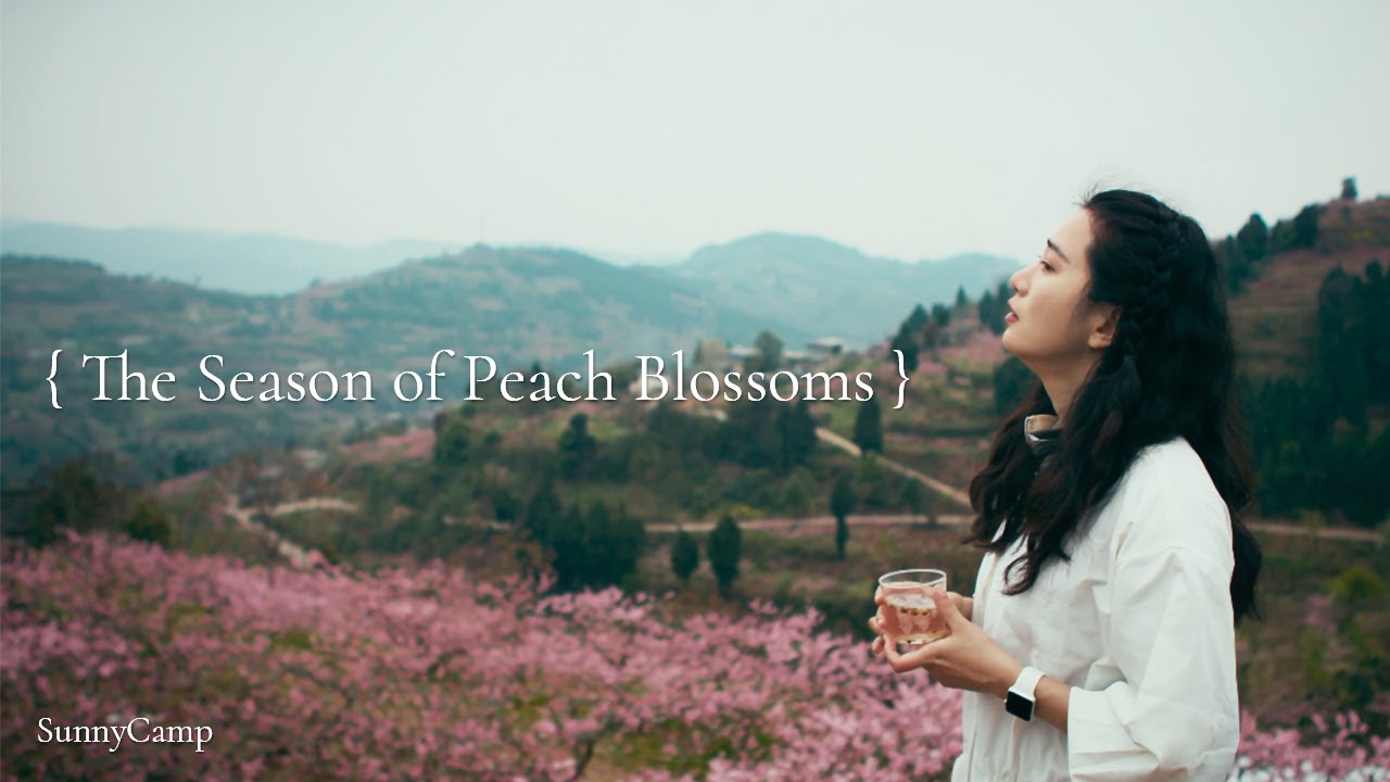 The Season of Peach Blossoms: Self-made Peach Blossom Wine