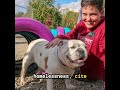 “My Pet Is My Home.” How Red Rover is Supporting Families and Animals in Crisis  #nonprofit