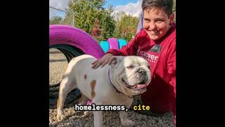 “My Pet Is My Home.” How Red Rover is Supporting Families and Animals in Crisis  #nonprofit