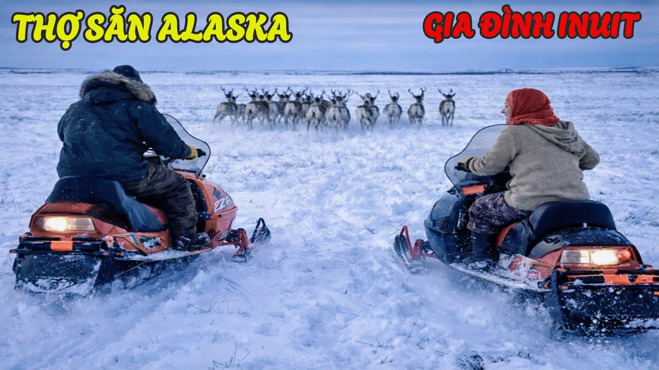 Thợ Săn Inuit ở Bắc Cực: Săn Bắn Tuần Lộc - Bắt Cá - Hươu Rừng Tìm Thức Ăn Giữa Mùa Đông Khắc Nghiệt