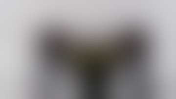 Rewind - TFormers Titans Return Legends Class Figure Review