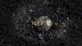 Video thumbnail of "因主的名 粵"