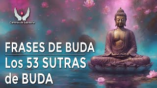 Buda  Frases de Buda  Que es el budismo  Los 53 sutras de Buda