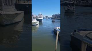 Annapolis City Dock: The Perfect Day Trip Escape