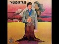 Thundertreesummertime children 1970 psychedelic rock us