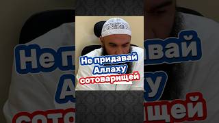 Поклоняйтесь только Одному Аллаху #ислам #единобожие #таухид #Аллах #принятьислам  #ширк #грех