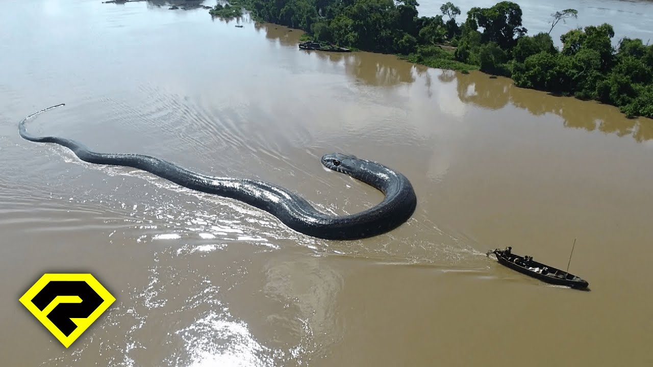 SUSAH DIJELASKAN, 8 Temuan Misterius PENUNGGU SUNGAI AMAZON!