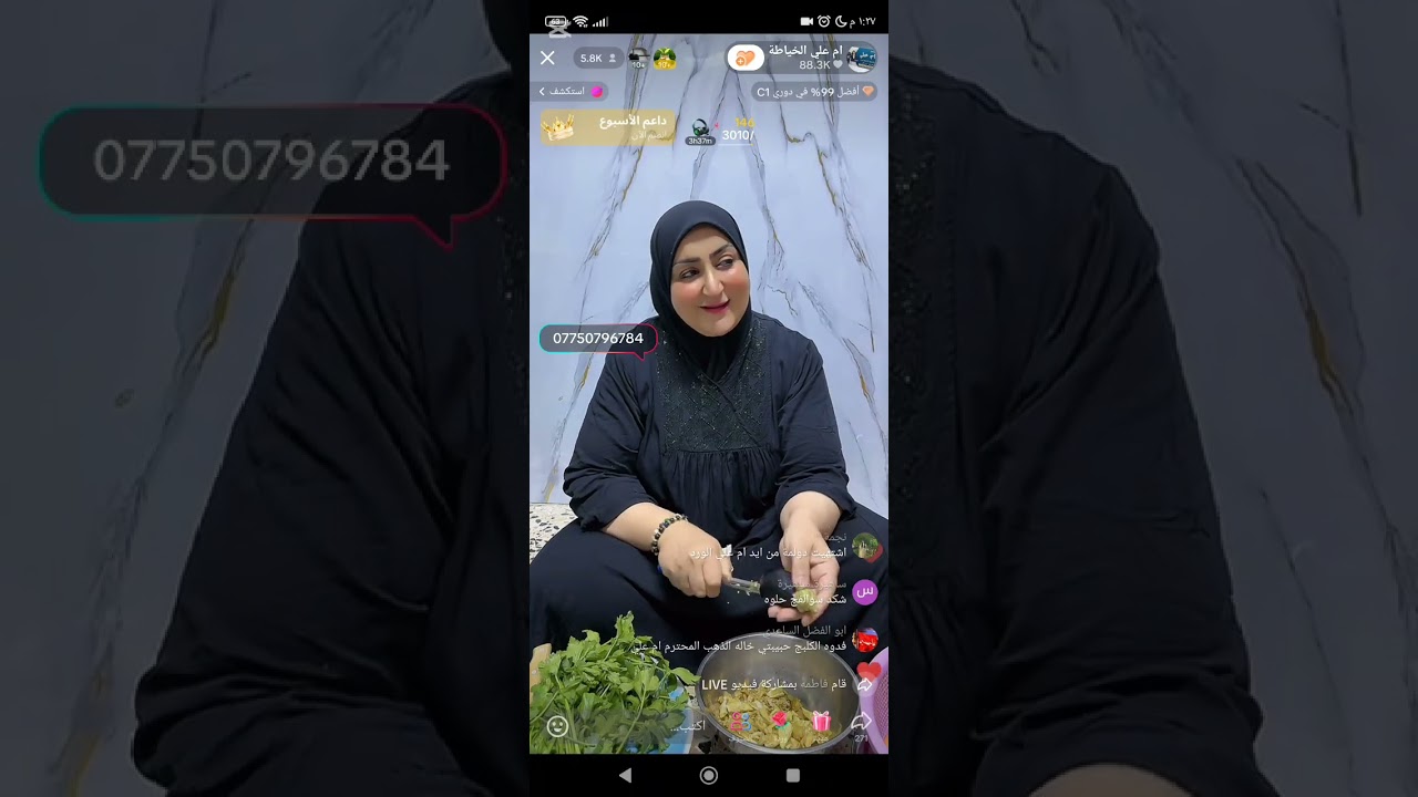 ام علي الخياطه تعالو نسوي دولمه 