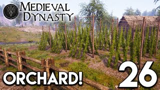 Medieval Dynasty Lets Play - Orchard! E26