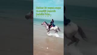 Herkes Bir Yaşam Seçer Ve Seçtiği Yaşamin Bedelini Öder...