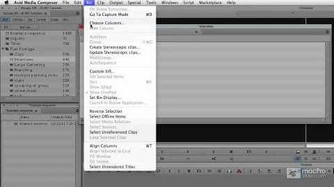 Media Composer 6 101: Organizing and Ingesting Media - 19 Customizing Bin Views