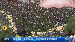 ATV六點鐘新聞2013-3-17