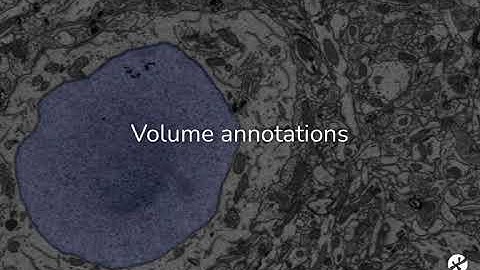 Volume annotations