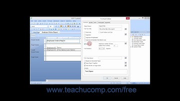 Crystal Reports 2013 Tutorial The “Common” Tab of the Format Editor Business Objects Training