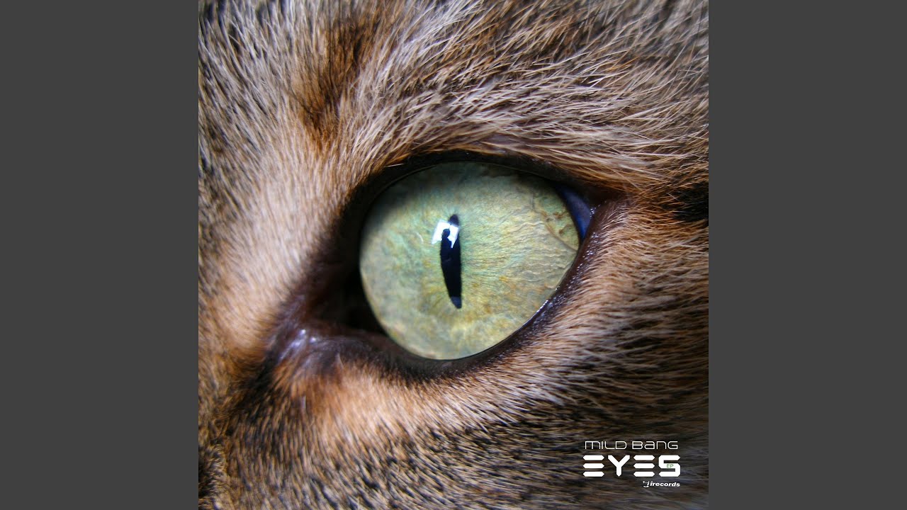 Gray Eyes (feat. Heidi Sabertooth) (Rhadow Remix) adlı videoyu YouTube'da izle Gray Eyes (feat. Heidi Sabertooth) (Rhadow Remix) adlı videoyu YouTube'da izle