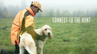 Garmin Alpha LTE | Cellular dog tracker